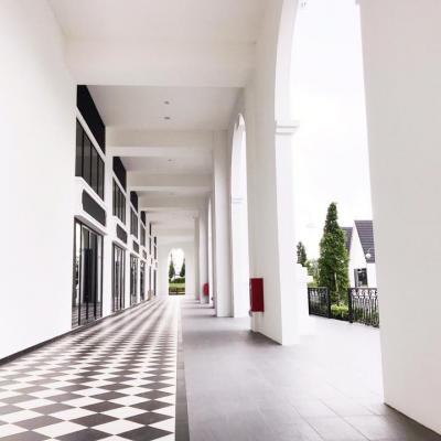 【Commercial】 Business Office